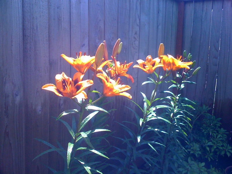 photo-2