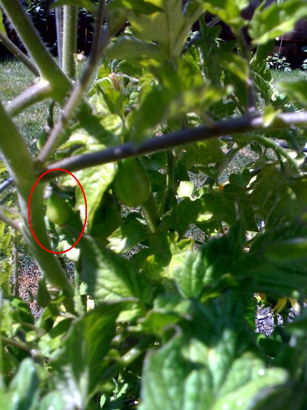 photo-3